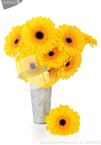Image of Yellow Gerbera Flowers