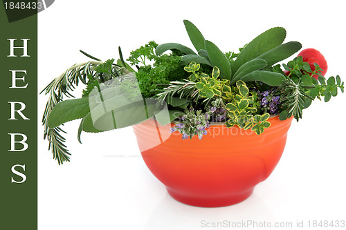 Image of Fresh Herbs