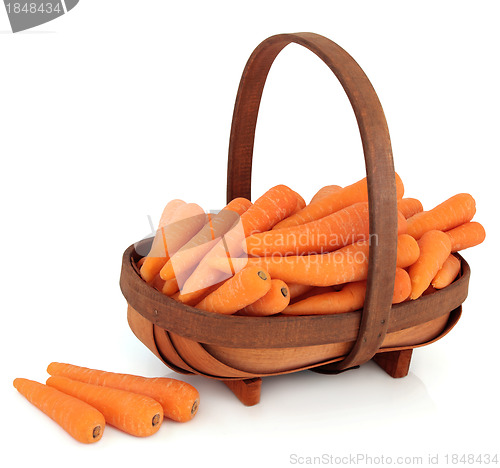 Image of Carrots in a Basket