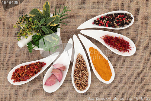 Image of Spice and Herb Selection