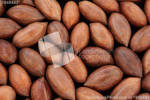 Image of Pecan Nuts