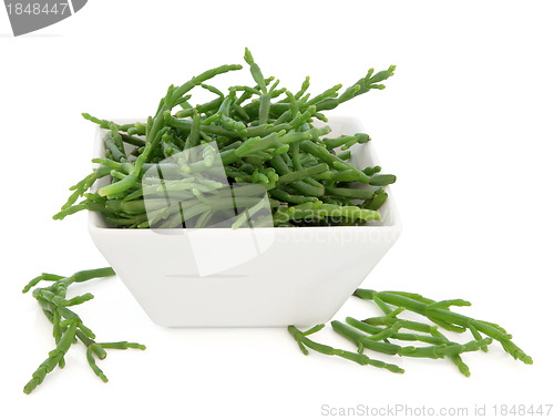 Image of Samphire