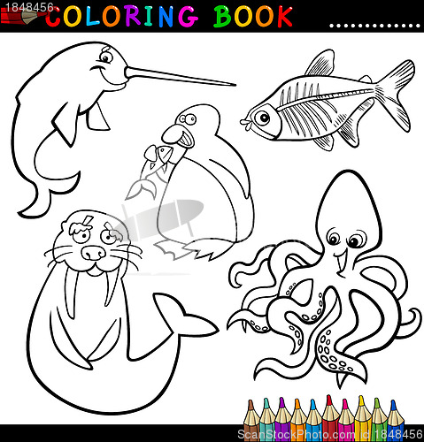 Image of Animals for Coloring Book or Page