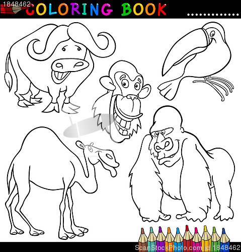 Image of Animals for Coloring Book or Page