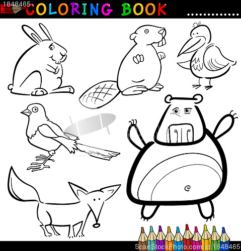 Image of Animals for Coloring Book or Page