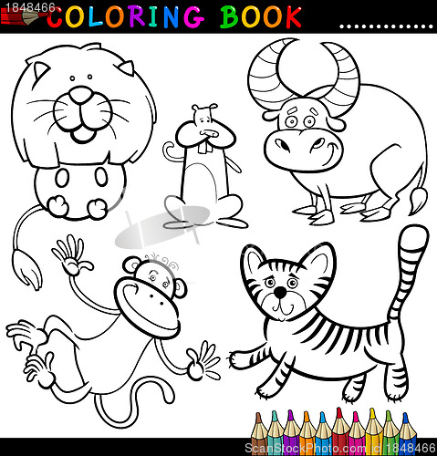Image of Animals for Coloring Book or Page