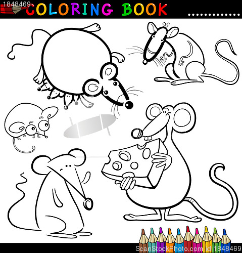 Image of Animals for Coloring Book or Page