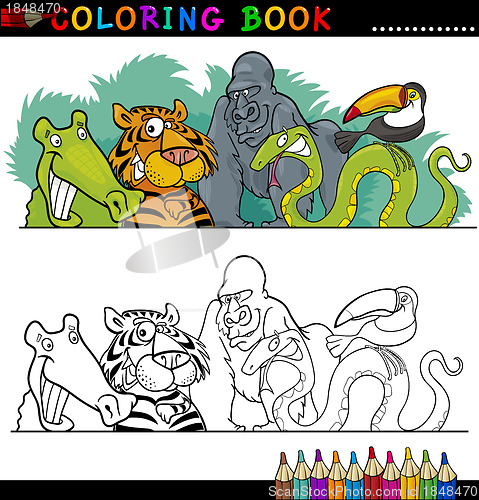 Image of Wild Jungle Animals for Coloring