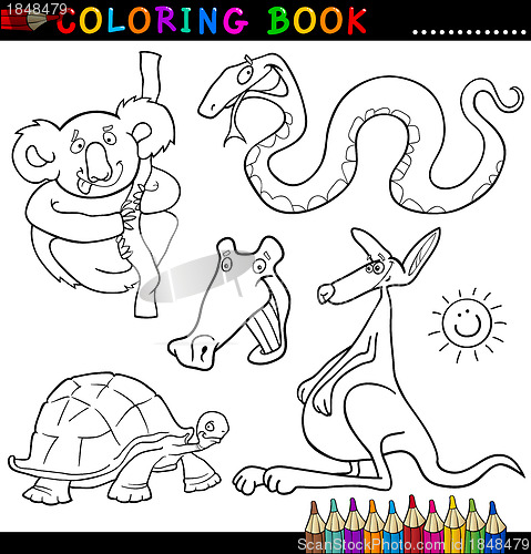 Image of Animals for Coloring Book or Page