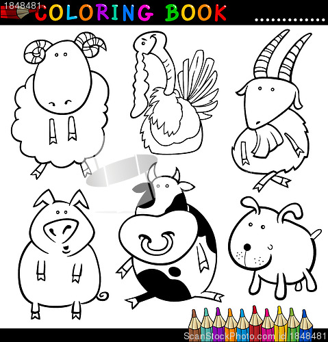 Image of Animals for Coloring Book or Page
