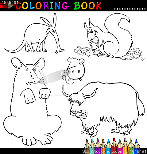 Image of Animals for Coloring Book or Page