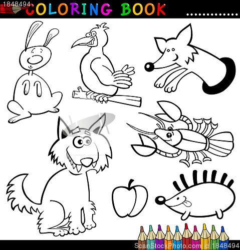 Image of Animals for Coloring Book or Page