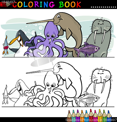 Image of Marine and Sea Life Animals for Coloring