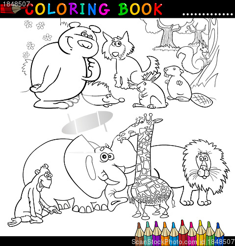 Image of Animals for Coloring Book or Page