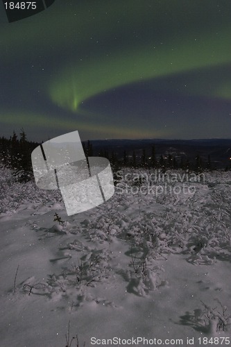 Image of Winter night landscape with northern lights