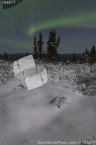Image of Lonely spruce in moon landscape with aurora borealis