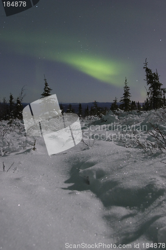 Image of Northern lights over moonlight landscape