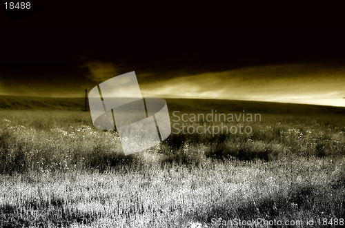 Image of evening light