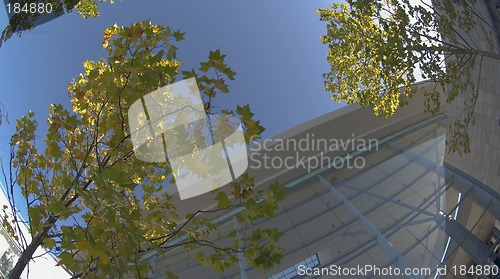 Image of Steel, glass, concrete and wood