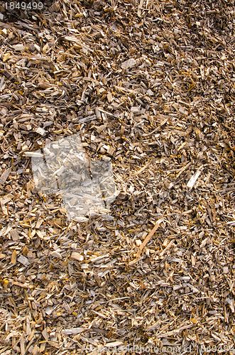 Image of Background of wood shavings.Biomass fuels.