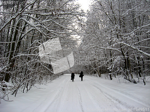 Image of Two people going on winter road