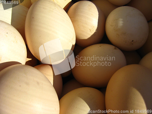 Image of a lot of eggs of the hen