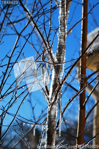 Image of Ice Pattern