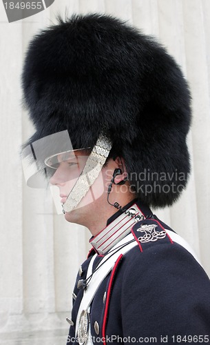 Image of Royal Danish Guard