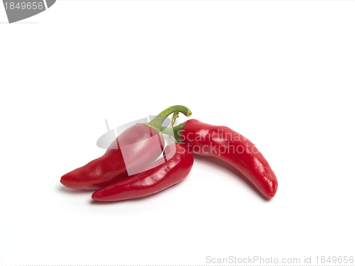 Image of Red Chili Peppers