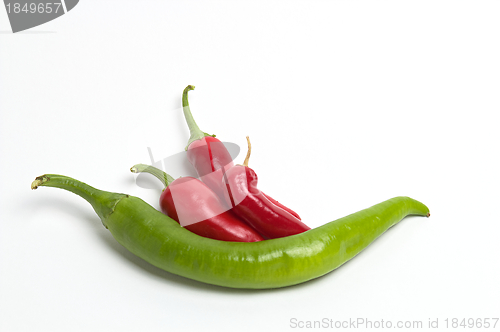 Image of Chili Peppers