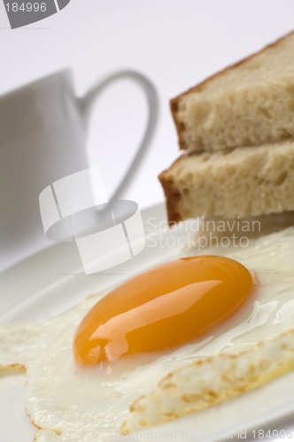 Image of egg