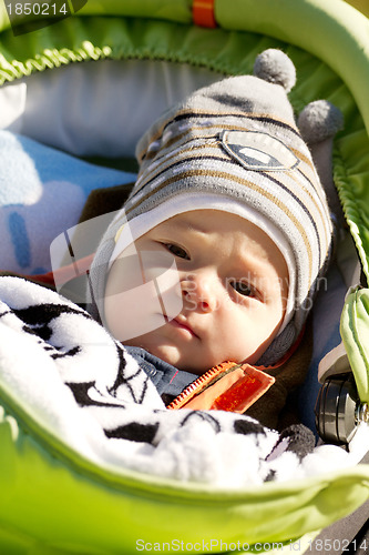 Image of Baby Outdoors