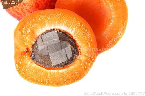 Image of Apricot