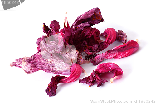 Image of Dry hibiscus tea