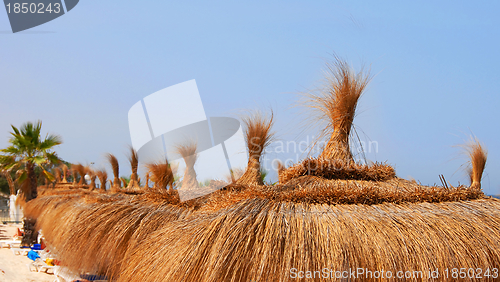 Image of Beach sunshades