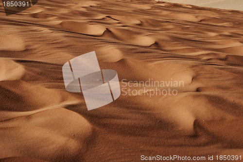 Image of Desert Sand