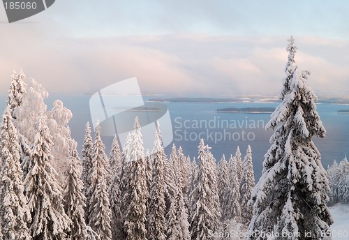 Image of Winter Scenery