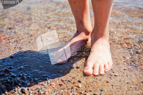 Image of Feet in water