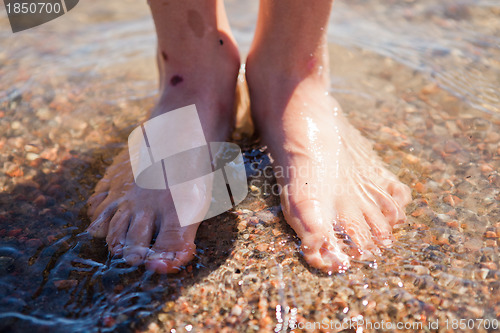 Image of Feet in water
