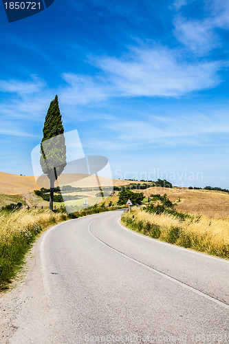 Image of Road in Tuscany