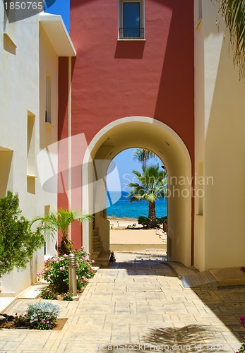 Image of Sea and the palm