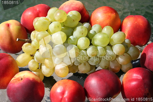 Image of Nectarines and grapes