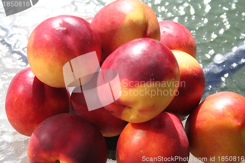 Image of Nectarines