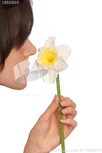 Image of white narcissus