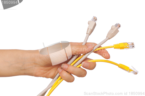 Image of LAN cords