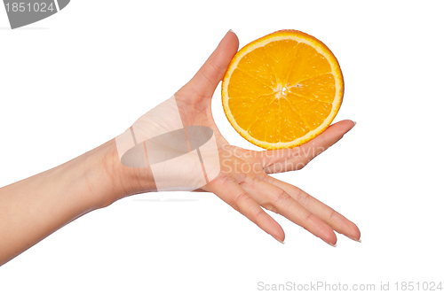 Image of Orange