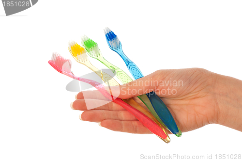 Image of toothbrushes