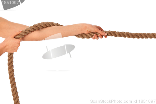 Image of tug of war