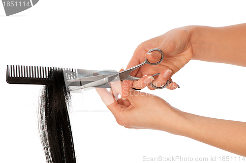 Image of hairdressing