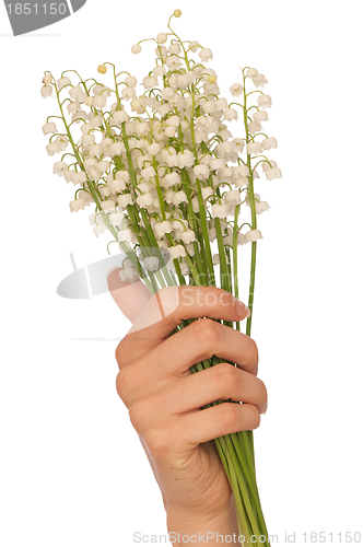 Image of lily of the valley